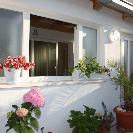 Apartment Anand Dubrownik Zewnętrze zdjęcie