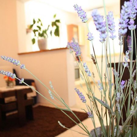 Apartment Anand Dubrownik Zewnętrze zdjęcie